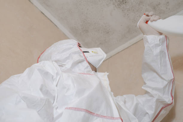 Best Residential Mold Remediation in Horton, KS